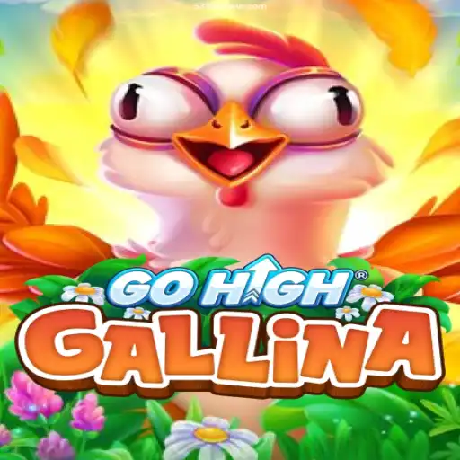 Exploring the Allure of GoHighGallina